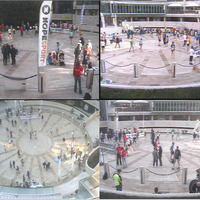 Race_arena_webcam_square