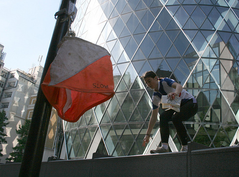 Gherkin_control_large