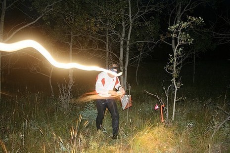 2007nighto_odd_large