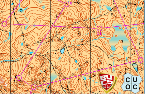 Bucs-loughrigg_large